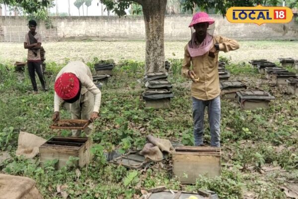 ये है 5वीं पास अजय की सक्सेस का राज, मधुमक्खियों के रिस्क ने बना दिया लखपति