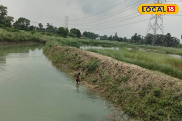 कहानी एक आत्मनिर्भर युवा की, नौकरी छोड़ शुरू कर दिया कारोबार, इस जगह को बना दिया बिजनेस हब