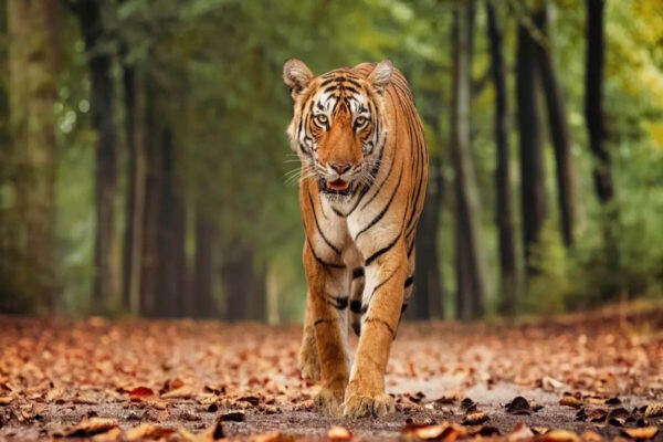 March-perfect destinations to visit in India under ₹10,000; check itinerary