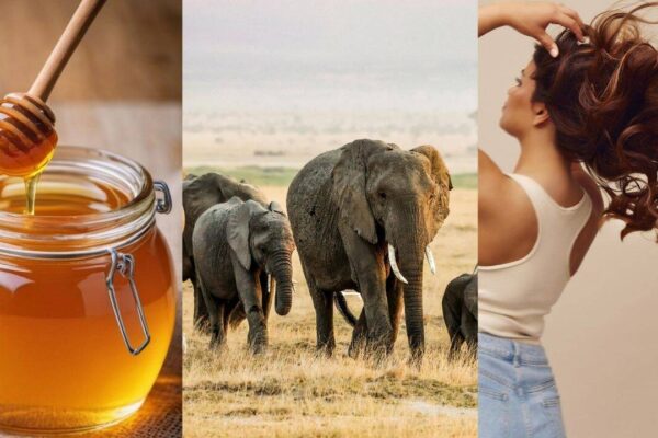 14 scientific facts you probably didn't know