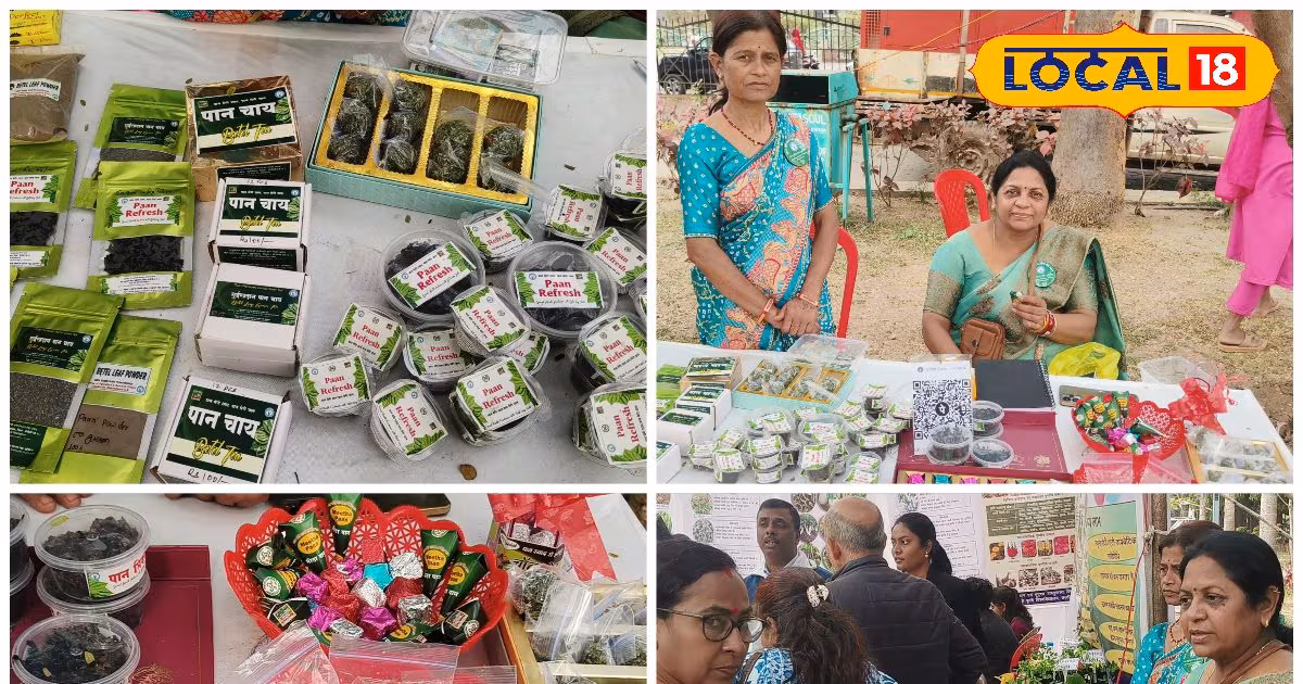 बीड़ा से बिजनेस तक, छत्तीसगढ़ के छुईखदान की महिलाओं ने पान को बना दिया ब्रांड – Chhattisgarh News