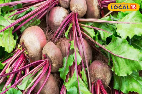 इन लोगों को भूलकर भी नहीं खाना चाहिए चुकंदर, फायदे की जगह हो सकता है नुकसान, जानें डॉक्टर की सलाह