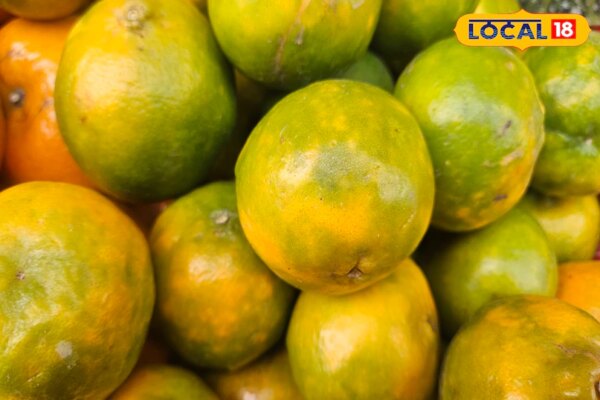 सुबह या दोपहर, 2 खाएं या 3? जानें संतरा खाने का सही तरीका, मिलेगा कई गुना ज्यादा फायदा