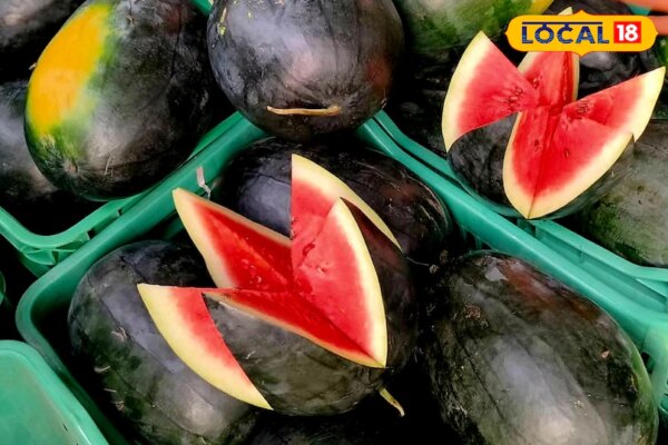 गर्मी से परेशान? ये 5 फल बनेंगे आपके जीवन रक्षक, शरीर को बनाए हाइड्रेट और फ्रेश!