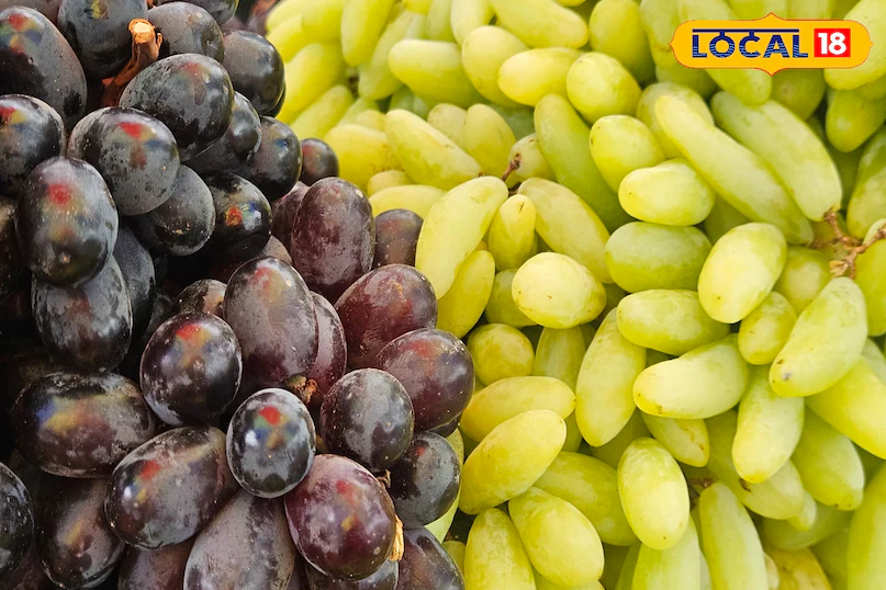 हरे या फिर काले अंगूर: मिठास में कौन आगे और सेहत में कौन निकला नंबर वन? जानकर रह जाएंगे हैरान!