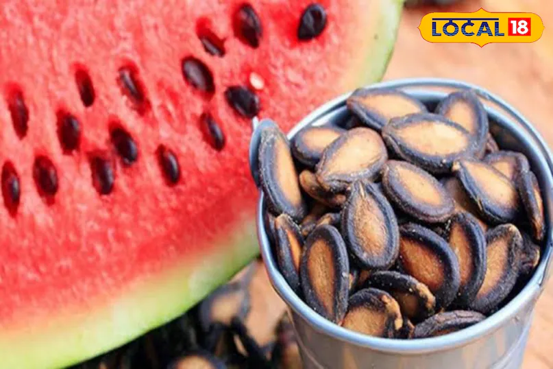 तरबूज-खरबूजे के बीज फेंकना बंद करें! जानिए ये छोटे बीज कैसे बन सकते हैं आपकी सेहत का बड़ा खजाना