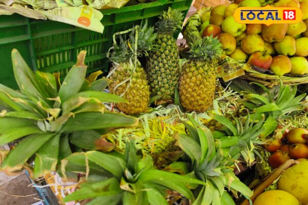 पेट भरा और फिट महसूस करना चाहते हैं? पाचन, इम्यूनिटी और वजन नियंत्रण में मददगार, जानिए चौंकाने वाले फायदे