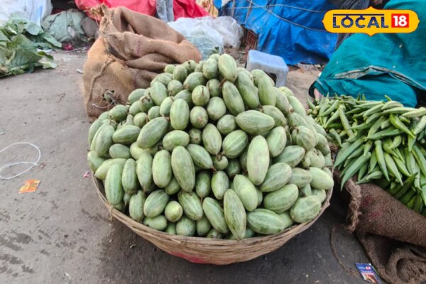 भूलकर भी इस सब्जी को ना समझें बेकार, गर्मियों में सेहत का है राजा; पाचन से लेकर इम्युनिटी तक रखे फिट