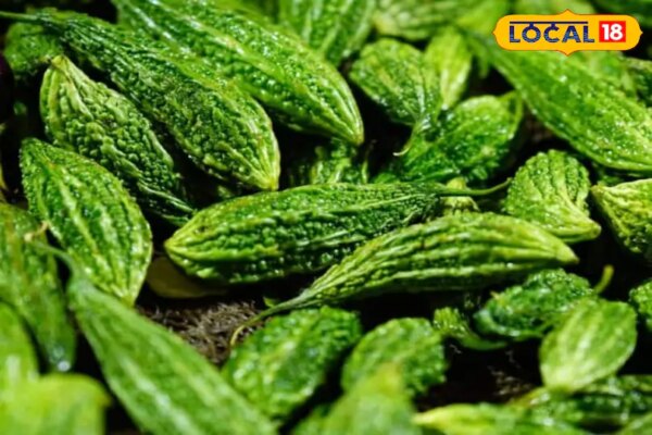 करेले के प्रोटीन के फायदे | How to get Bitter Gourd Protein without Bitterness | 4 Easy Health Hacks