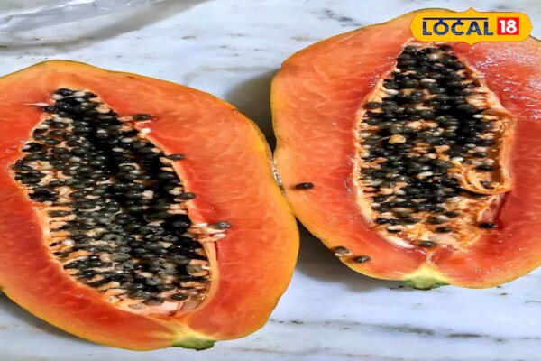 पपीता का फल ही नहीं बीज भी है सुपर बूस्टर, पेट, दिल और त्वचा के लिए है रामबाण, जानें कैसे करें इस्तेमाल