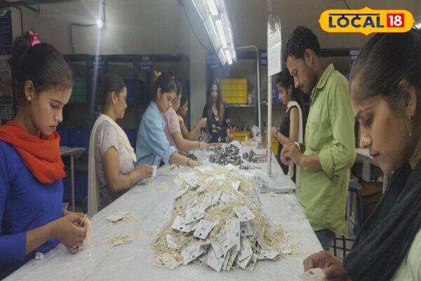 इस बिजनेस आइडिया ने बदली खुशबू की किस्मत, महज 6 सालों में ही हो रहा करोड़ों का टर्नओवर