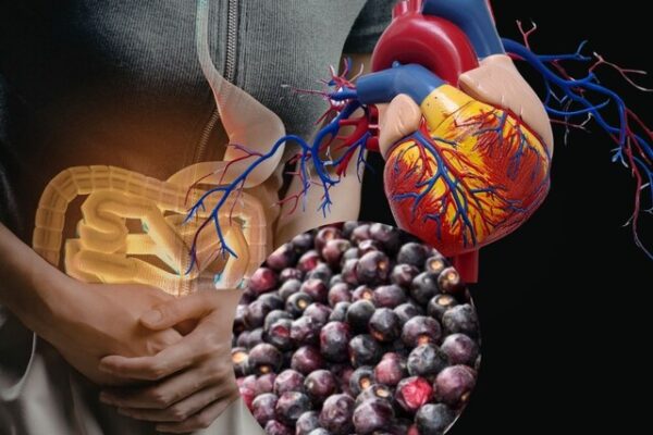 Phalsa Health Benefits: गर्मी में फालसा खाने के फायदे