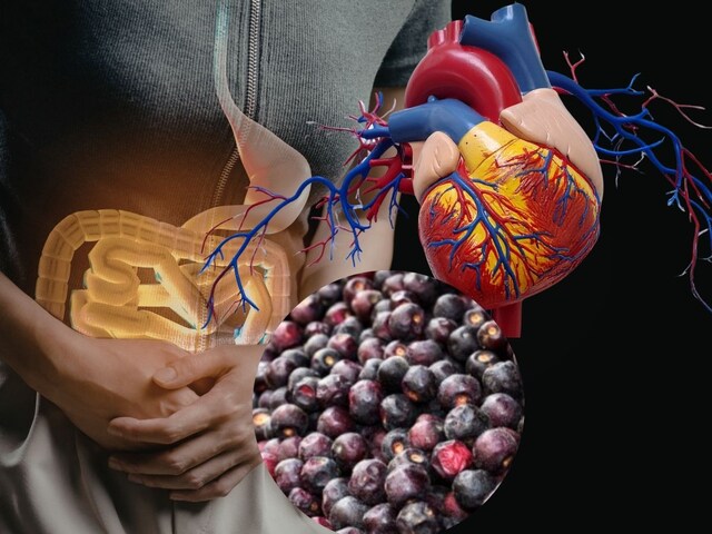 Phalsa Health Benefits: गर्मी में फालसा खाने के फायदे