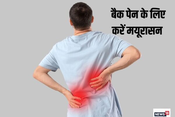 पुराना पीठ दर्द भी होगा छूमंतर! बस रोज करें ये योगासन, असर देख रह जाएंगे हैरान