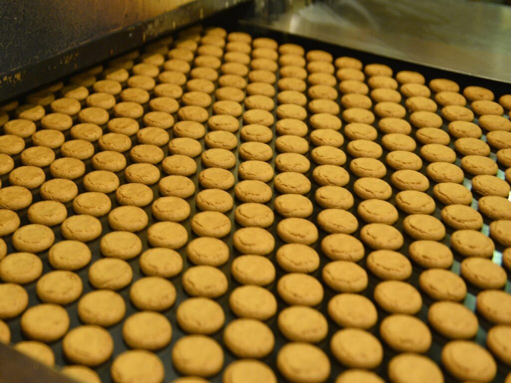 1 लाख रुपये में शुरू करें ये बिजनेस, हर महीने होगा 40000 से ज्यादा का मुनाफा, जानें कैसे करें स्टार्ट? – business opportunity start biscuit making plant in just 1 lakh rupees and earn 40k per month samp