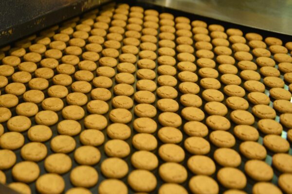 1 लाख रुपये में शुरू करें ये बिजनेस, हर महीने होगा 40000 से ज्यादा का मुनाफा, जानें कैसे करें स्टार्ट? – business opportunity start biscuit making plant in just 1 lakh rupees and earn 40k per month samp