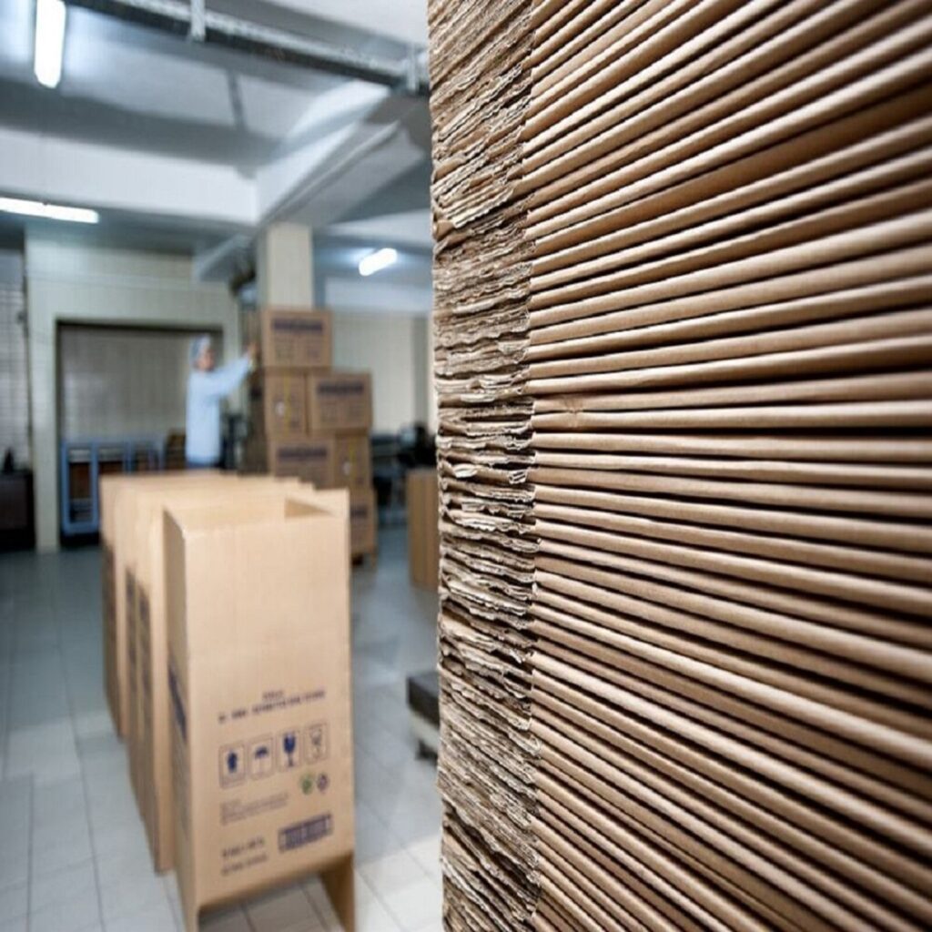 नौकरी छोड़ शुरू करें ये बिजनेस, हर महीने होगी आराम से 5 से 10 लाख तक की कमाई, जानें कैसे? – business opportunities start cardboard business and earn 5 to 10 lakh rupees per month samp