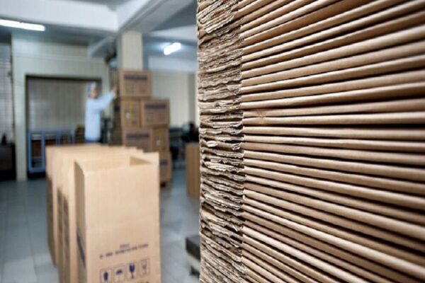 नौकरी छोड़ शुरू करें ये बिजनेस, हर महीने होगी आराम से 5 से 10 लाख तक की कमाई, जानें कैसे? – business opportunities start cardboard business and earn 5 to 10 lakh rupees per month samp