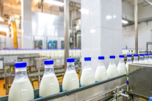 नौकरी की है टेंशन तो शुरू करें ये बिजनेस, हर महीने होगी 70000 रुपये की बचत, मुद्रा लोन का मिलेगा फायदा – business idea start dairy product business with rs 5 lakhs and earn 70k per month samp