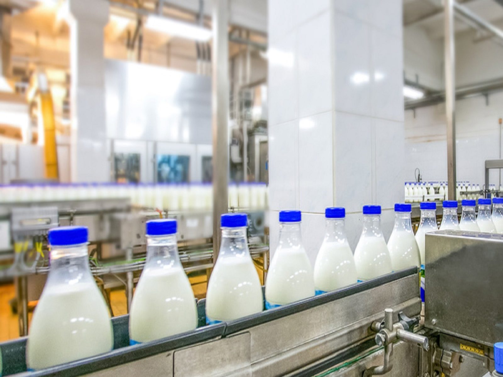 नौकरी की है टेंशन तो शुरू करें ये बिजनेस, हर महीने होगी 70000 रुपये की बचत, मुद्रा लोन का मिलेगा फायदा – business idea start dairy product business with rs 5 lakhs and earn 70k per month samp