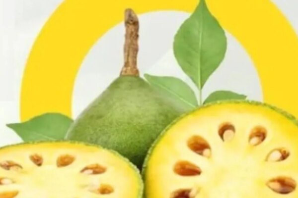 गर्मी में क्यों बार-बार हो रही है थकान और पेट खराब? इसका देसी इलाज है ये खास शर्बत…