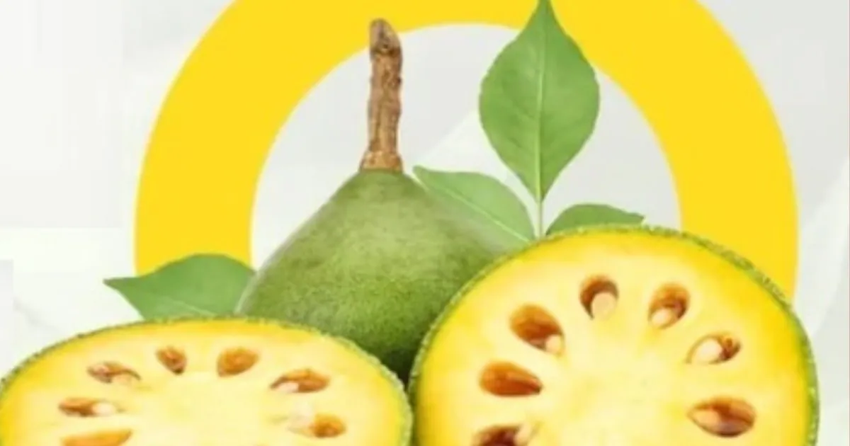 गर्मी में क्यों बार-बार हो रही है थकान और पेट खराब? इसका देसी इलाज है ये खास शर्बत…