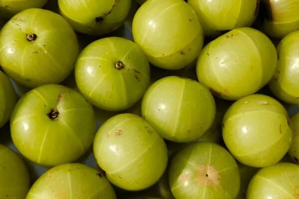 अमृत भी है तो जहर भी बन सकता है! 6 तरह के लोगों को नहीं खाना चाहिए आंवला