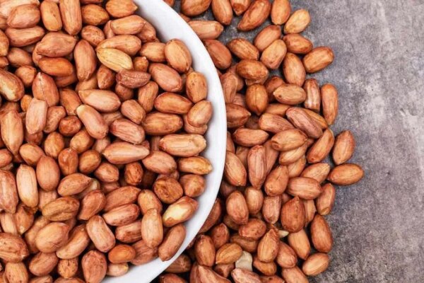 Peanuts : क्या मूंगफली खाने से कोलेस्ट्रॉल कम होता है? दिल की सेहत के लिए क्या वाकई जादुई है? जानिए पूरा सच