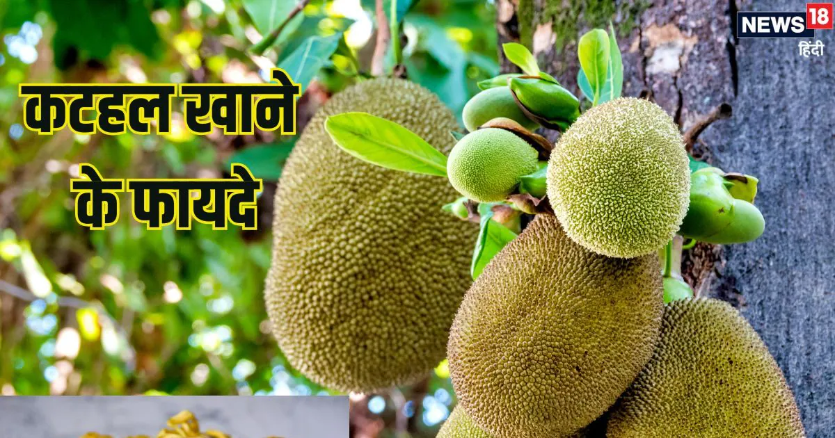 इस सब्जी के आगे चिकन, मटन भी फेल, पोषक तत्वों का खजाना, इम्यूनिटी बढ़ाए, कब्ज का करे जड़ से इलाज, जानते हैं नाम?