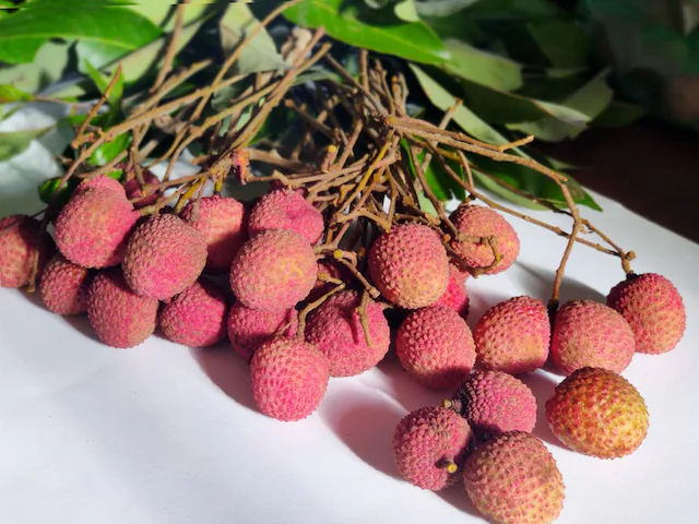 Right Way To Eat Lichi: लीची खाने से बीमार क्यों पड़ते हैं लोग, जानें सेवन का सही तरीका