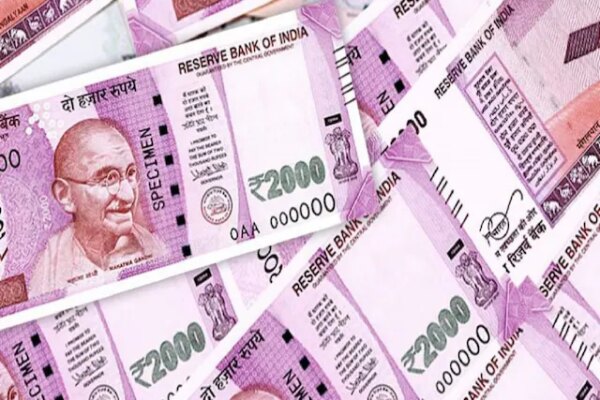 Business Opportunities : बिना पैसे शुरू कर सकते हैं ये बिजनेस, घर बैठे होगा मोटा मुनाफा, जानें पूरा प्रोसेस – business opportunities with low investment start business without money earn lakhs of rupees know how