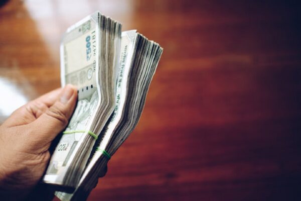 ₹50,000 में शुरू करें अपना खुद का बिजनेस, 5 लाख का होगा मोटा मुनाफा- जानें करना होगा क्या? | start aloe vera farming with 50000 rupees and earn 5 lakh rupees profits yearly know how samp