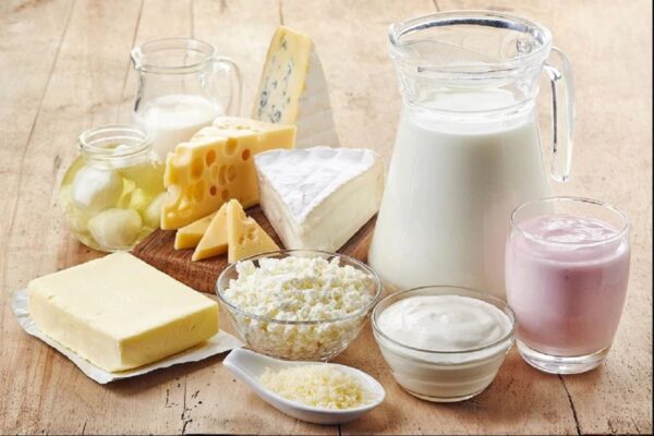 शुरू करें नौकरी से ज्यादा मुनाफे वाला बिजनेस, एक बार लगाएं 5 लाख रुपये और हर महीने करें 70000 की कमाई | start dairy product business only 5 lakhs rupess and earn 70000 per month know how samp