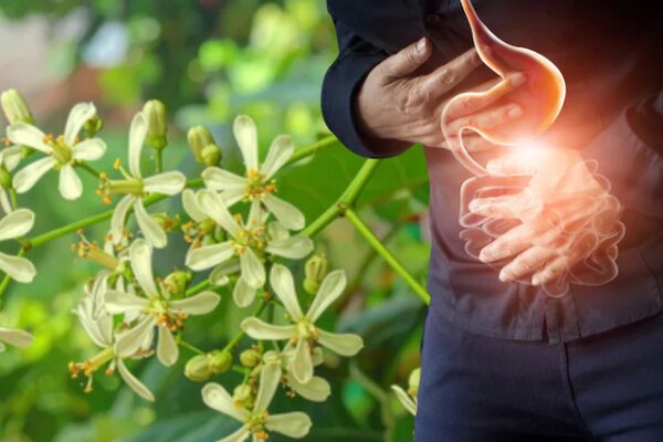 Neem phool health benefits| garmi Main body ko thanda krne wale food| नीम के फूल के फायदे