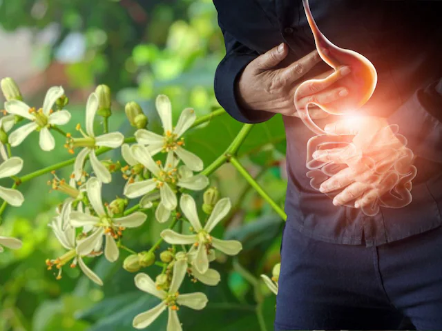 Neem phool health benefits| garmi Main body ko thanda krne wale food| नीम के फूल के फायदे