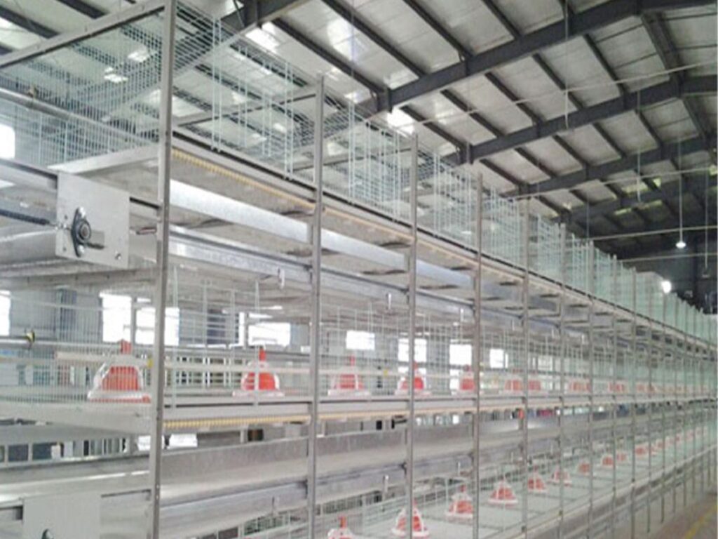 नौकरी की टेंशन जाएंं भूल! 50 हजार में शुरू करें ये बिजनेस, मंथली होगी 1 लाख की कमाई, सरकार देगी 35% सब्सिडी – buisness opportunity start poultry farming with 50k and earn 1 lakh rupees per month know how samp