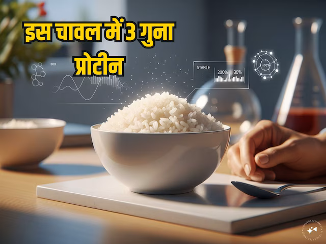 डायबिटीज मरीजों के लिए बढ़िया है ये चावल, 3 गुना ज्यादा प्रोटीन, जानें क्या है ये ‘डिजाइनर राइस’