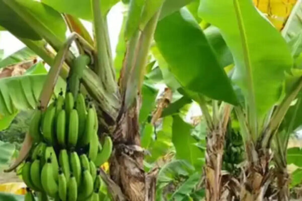 Thursday Special: 6 Things to do for prosperity and positivity