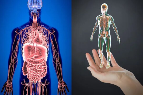 Healthy Body Signs: शरीर में दिख रहे ये 10 संकेत, तो इसका मतलब आप पूरी तरह स्वस्थ हैं