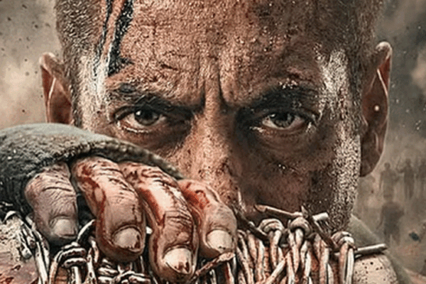 दावा- सलमान की 'मातृभूमि' में चीन का नाम नहीं होगा:रक्षा मंत्रालय की आपत्ति के बाद कंटेंट में बदलाव, 40% फिल्म रीशूट