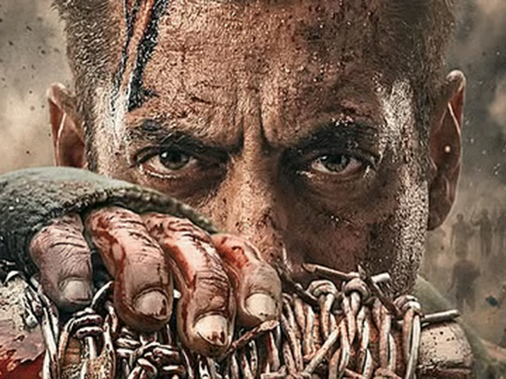 दावा- सलमान की 'मातृभूमि' में चीन का नाम नहीं होगा:रक्षा मंत्रालय की आपत्ति के बाद कंटेंट में बदलाव, 40% फिल्म रीशूट