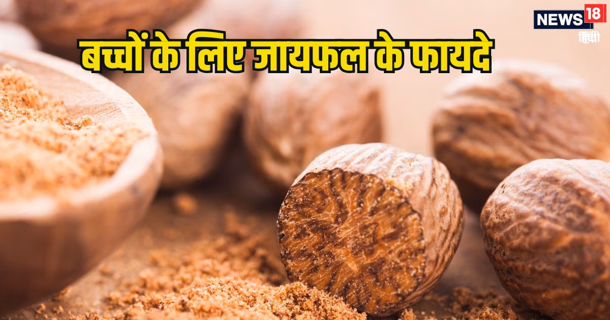 क्या बच्चों को जायफल देना चाहिए? आयुर्वेद से जाने फायदे, मात्रा, खिलाने से पहले क्या बरतें सावधानियां