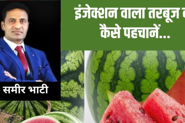 इंजेक्शन वाला तरबूज कैसे होता है, डॉक्टर डॉ. समीर भाटी से अभी जान लीजिए पहचान ताकि लाल जहर न बने काल