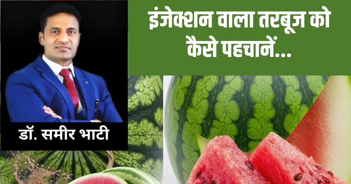 इंजेक्शन वाला तरबूज कैसे होता है, डॉक्टर डॉ. समीर भाटी से अभी जान लीजिए पहचान ताकि लाल जहर न बने काल