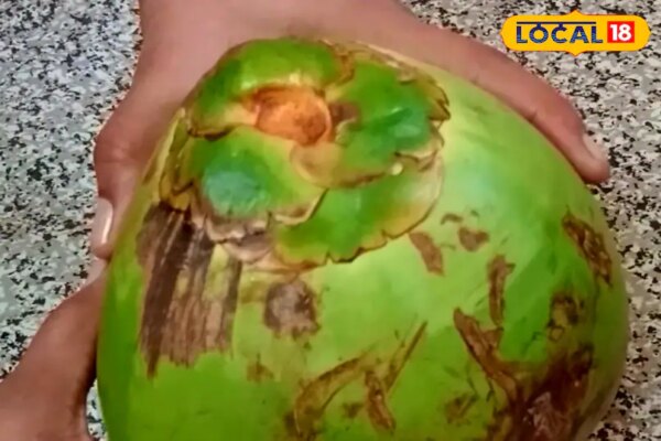 नारियल खरीदते वक्त करते हैं ये गलती? जानें मीठा पानी चुनने का सही तरीका, शरीर रहेगा एकदम कूल-कूल