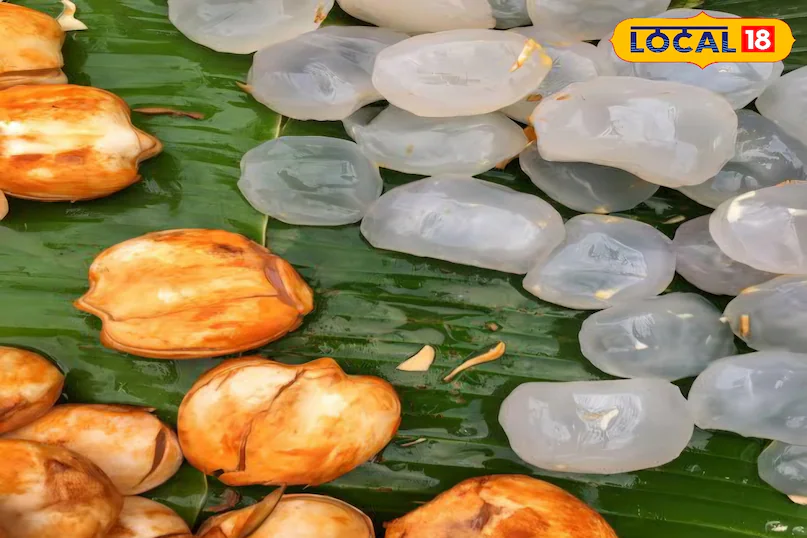 बाजार से इंस्टाग्राम तक छाया ये देसी फल, आखिर क्यों लोग दे रहे हैं 250 रुपये तक? जानिए इसके लाजवाब फायदे