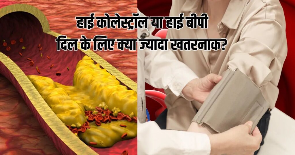 High Cholesterol Vs High Blood Pressure: हाई कोलेस्ट्रॉल या हाई बीपी? दिल को किससे ज्यादा खतरा