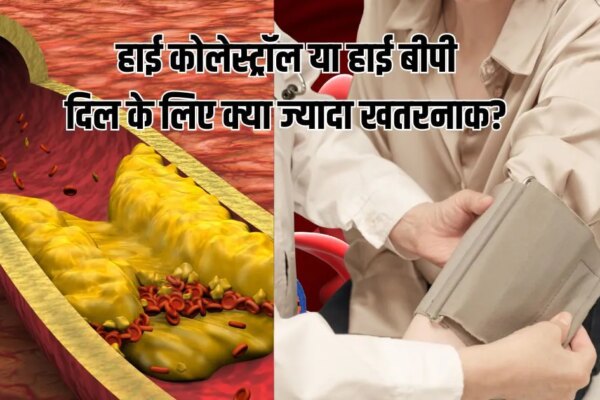 High Cholesterol Vs High Blood Pressure: हाई कोलेस्ट्रॉल या हाई बीपी? दिल को किससे ज्यादा खतरा