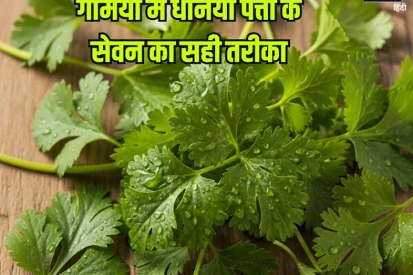 फ्री में मिलने वाली ये हरी पत्तियां हैं सेहत के लिए अनमोल, खून करे साफ, कमजोर इम्यूनिटी करे मजबूत, कई रोगों से बचाए