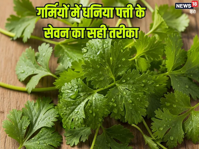 फ्री में मिलने वाली ये हरी पत्तियां हैं सेहत के लिए अनमोल, खून करे साफ, कमजोर इम्यूनिटी करे मजबूत, कई रोगों से बचाए